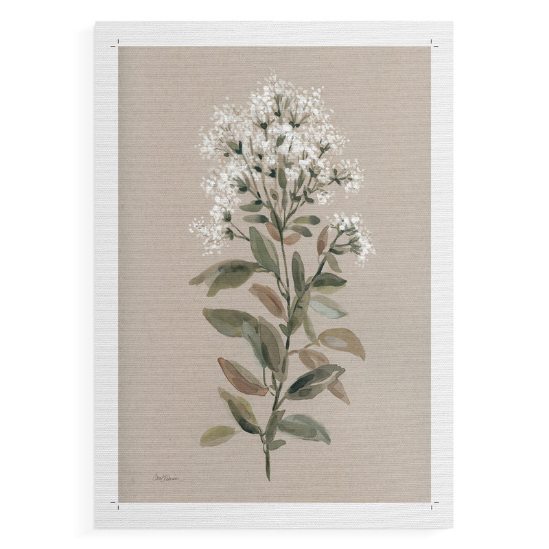 Tige florale blanche II - reproduction de toile seulement - non encadrée, H 60 po x l 40 po