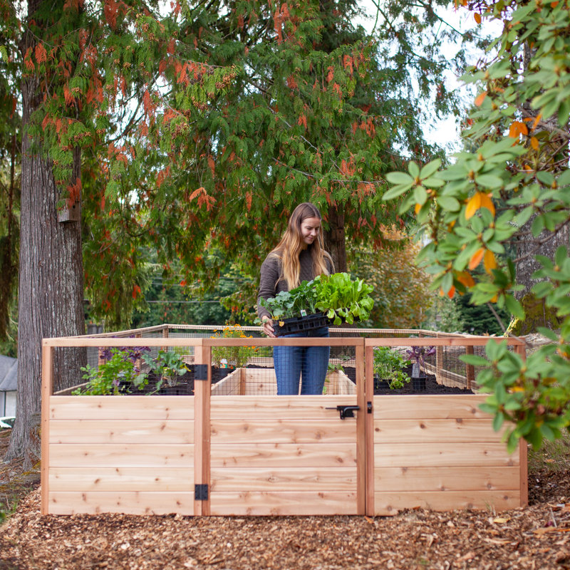 8 ft x 12 ft Cedar Garden in A Box Kit