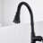 FURUISI Pull Down Kitchen Faucet-100865068