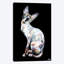 « larry, black background », impression sur toile-31841044-73219718-73219726