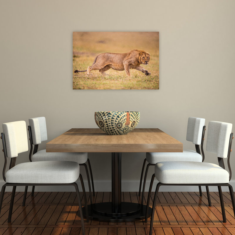 Running African Lion Abstract Contemporary Cat Lion Wildlife Landscape Wall Art Print, 60.96cm H x 91.44cm W