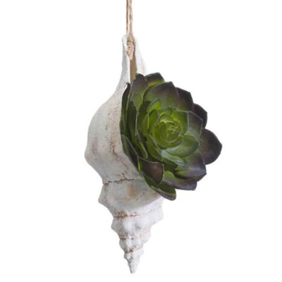 Silk Succulent Arrangement in Shell