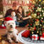 Tree Skirt