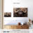 Buffalo And Oxpecker-1217417424