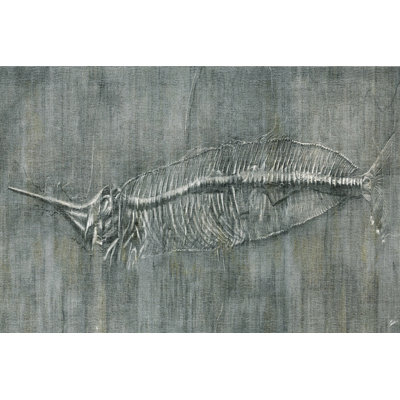 Fossil Imprint II by John Butler - Wrapped Canvas Print