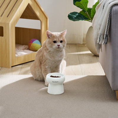 Sam's Pets Tall Tulip 2.0 Pet Bowl In Glossy