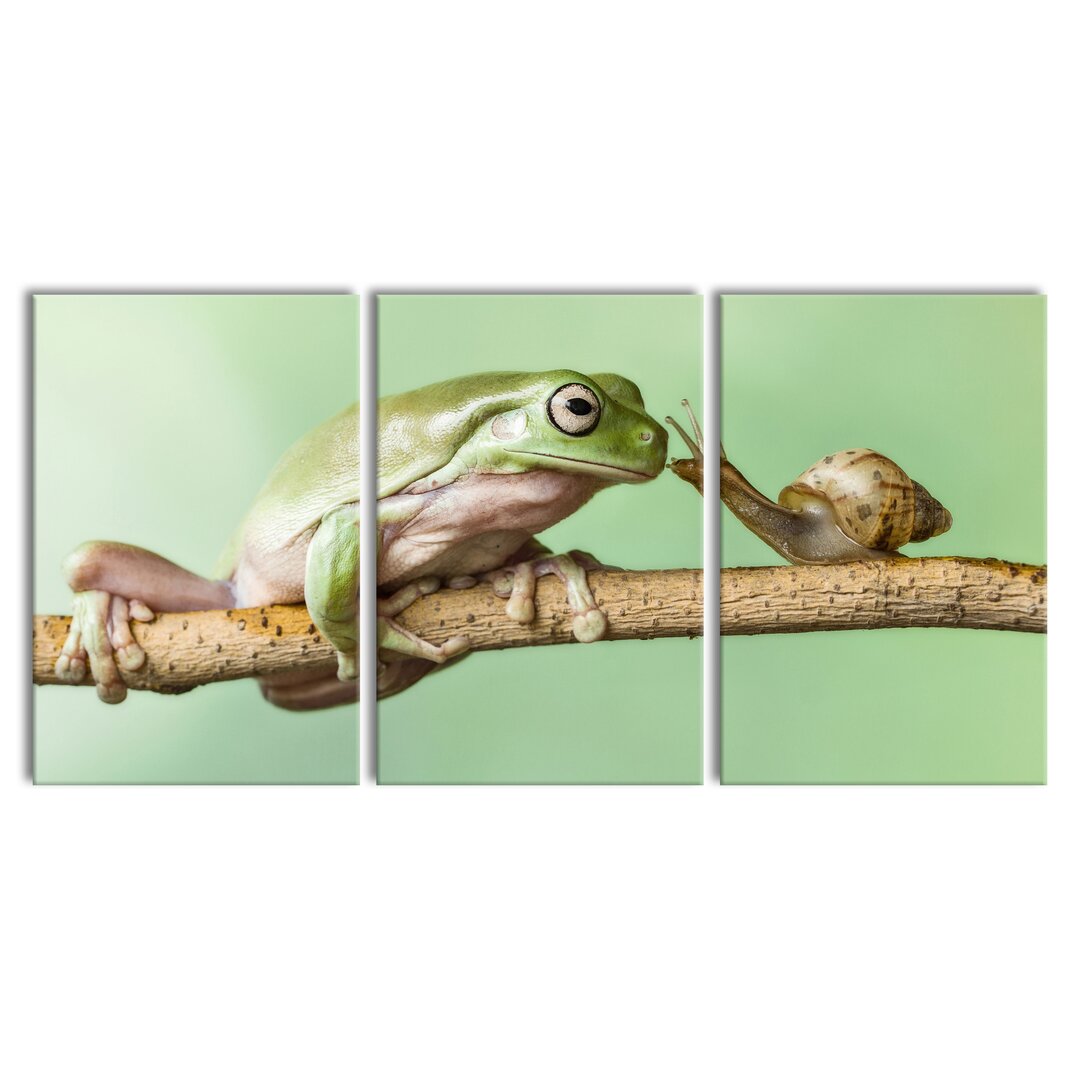 3-tlg. Leinwandbilder-Set Der Frosch und die Schnecke