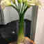 Customer photo 3 of 3