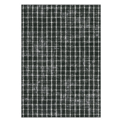 Geometric Checkered Print Area Rug for Living Room, Bathroom Kitchen