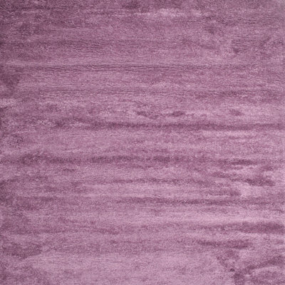 Wool Indoor Rug