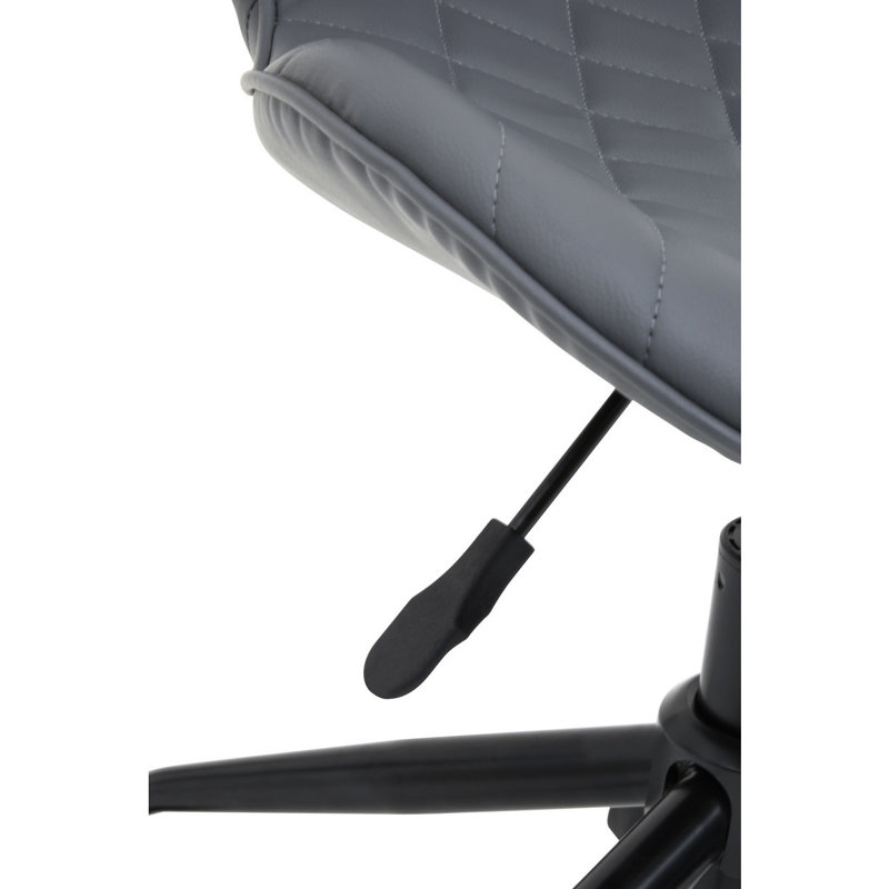 Niobrara Office Chair, Grey, Black