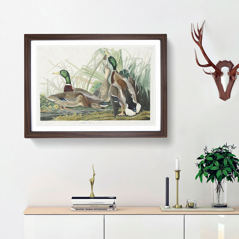 Mallard Ducks by John James Audubon - Picture Frame Art Print, 27cm H x 36cm W x 2cm D, Walnut Framed