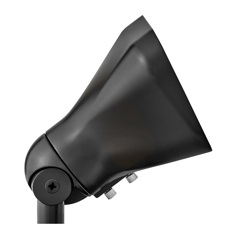 Hinkley Landscape Accent Flood Light 12V, Black, 3000 Kelvin
