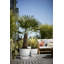 Greenville Planter-50010067-50010068