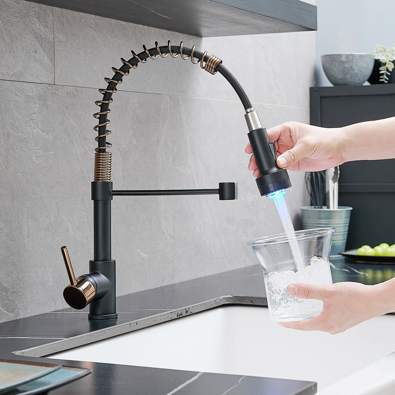 Robinet de cuisine FLG