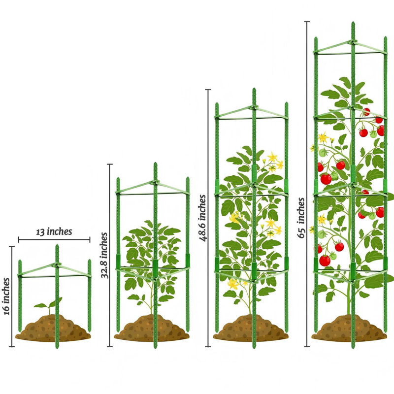 6-pack Adjustable Tomato Cages For Garden Plant Support, Up To 48" Plant Stakes And Trellis Set