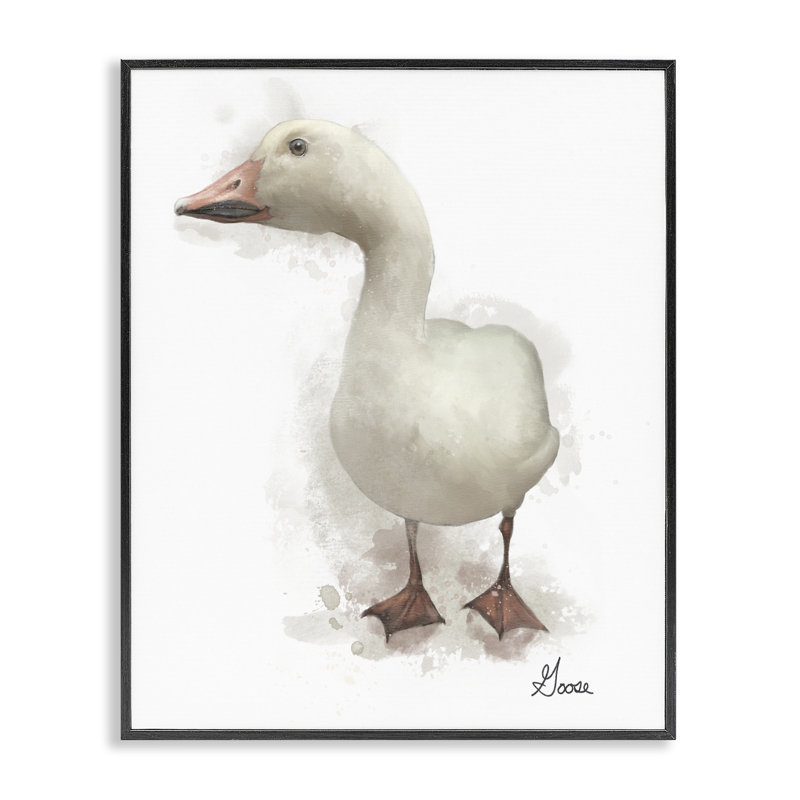 «Farm Goose», art giclée par Matthew Piotrowicz, Giclée encadrée noir minuit, H 14 po x l 11 po