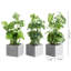 25cm Faux Foliage Plant in Cement Pot