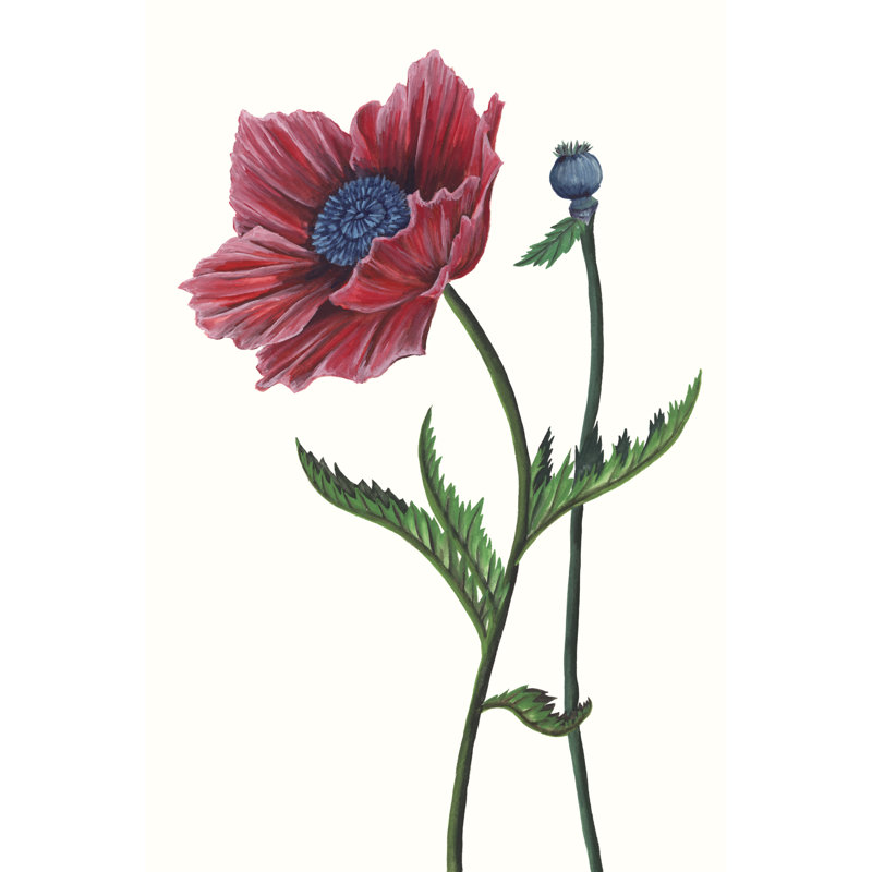 «Poppy Flower II» par Melissa Wang - peinture sur toile tendue, H 36 po x l 24 po x P 1,25 po