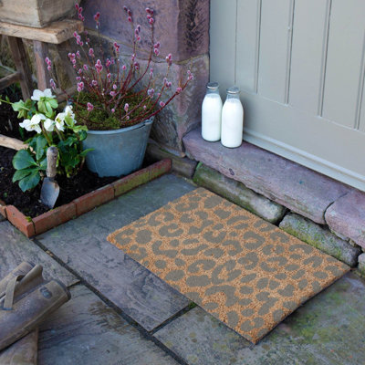 Aviana Non-Slip Indoor Doormat