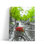 «Vélo avec bouquet de fleurs au bord du canal, Amsterdam», reproduction d'art sur toile