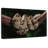 Boa Constrictor-15939495