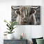 Toile tendue Highland Skye-Gallery-1577066715