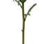 25" Artificial Purple Artichoke Stems