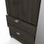 Birkan 2 Door Manufactured Wood Wardrobe