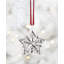 2025 Annual Star Sterling Ornament