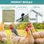 Cinderford Walk in Chicken Run-2048719376