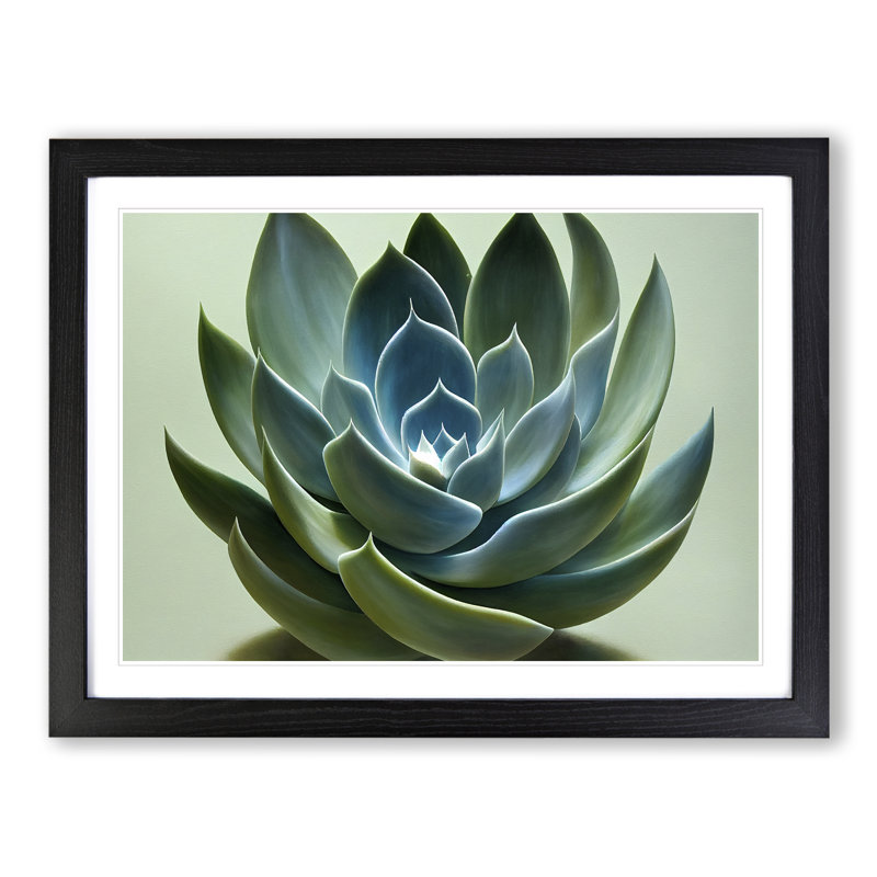 Graceful Succulent Plant - Single Picture Frame Print, Black Framed, 46cm H x 64cm W x 2cm D