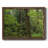 «Calm of the Forest», reproduction d'art sur toile simple-96289935-96289934