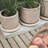 Sand Terra Pot-127664503