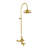 Thermostatic Shower System with Tub Spout (P1089)-132271125