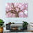 Harnek Sakura Cherry Tree-107684351