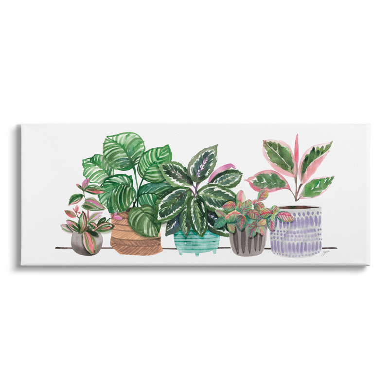 «Pots Plants Herbal Leaves», H 10 po x l 24 po x P 1,5 po