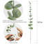 20 pièces de tiges d'eucalyptus fausses fleurs
