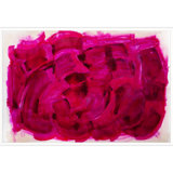 Fuchsias Print by ZBC Everyday