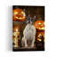 Halloween, art bouledogue français-1050316518
