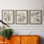 Ensemble de 3 cadres photo sur toile Midnight Tulip V-981462660-981462661