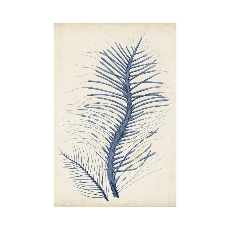 Indigo Coral V by Vision Studio - Wrapped Canvas Gallery-Wrapped Canvas Giclée, 152.5 cm H x 101.5 cm W
