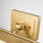 Cade Large Picture Light in Brushed Bronze