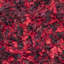 Godsey Handmade Shag Red Area Rug-1368600489