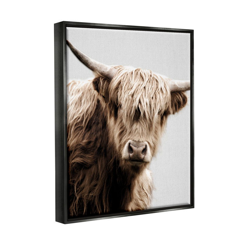 «Wooly Bovins», impression sur toile par Danita Delimont, Cadre flottant noir de jais, H 31 po x l 25 po x P 1,7 po