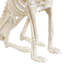 Halloween Decorative Accent