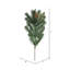 Fir Spray