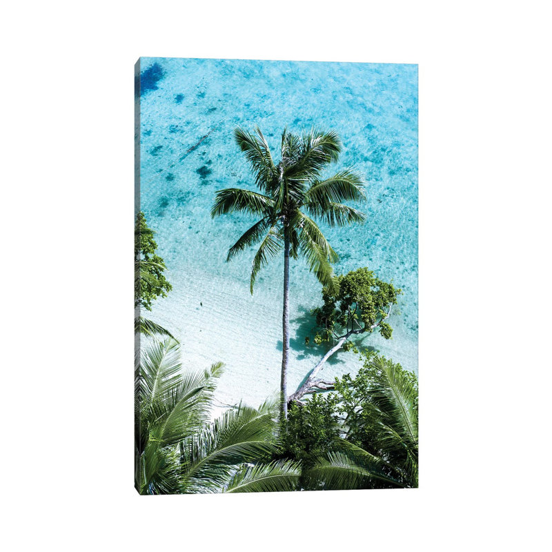 Palm Tree Paradise by Jaxon Roberts - Wrapped Canvas Print