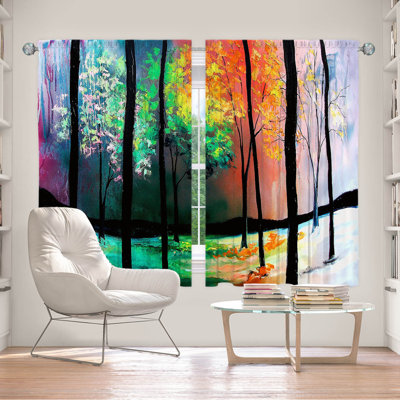 Fayyad Room Darkening Curtain Pair
