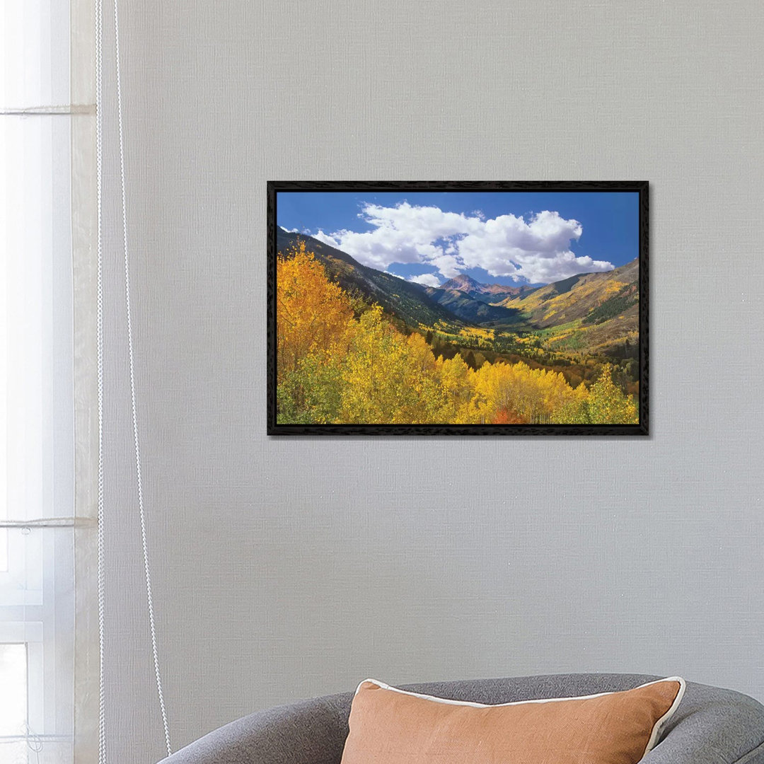 Haystack Mountain With Aspen Forest, Maroon Bells-Snowmass Wilderness, Colorado von Tim Fitzharris - Gallery-Wrapped Can...